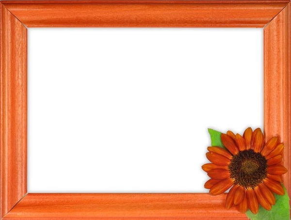 Frame met bloem — Stockfoto