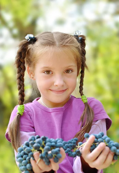 stock image Girl gives bunches grapes