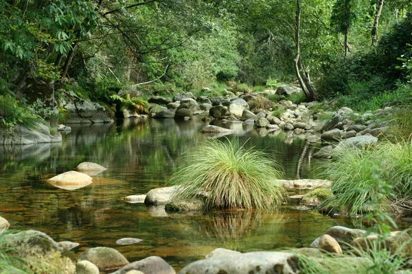 stock image River scenics