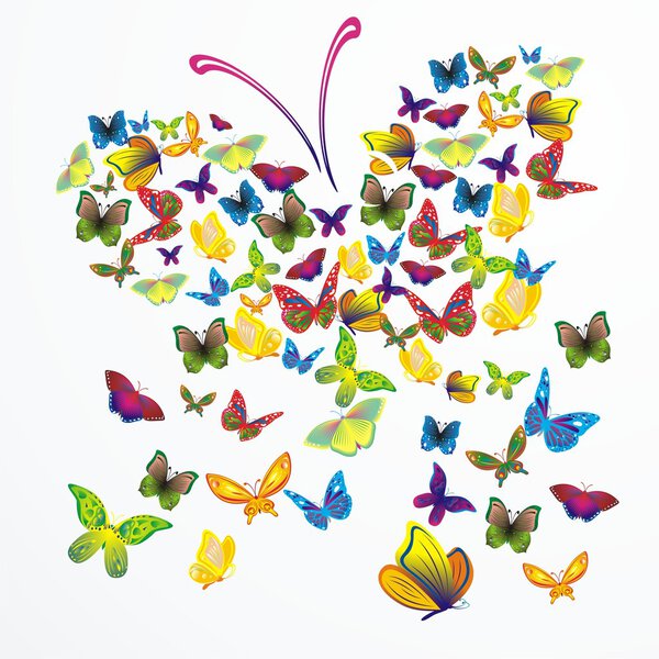 Векторная бабочка
