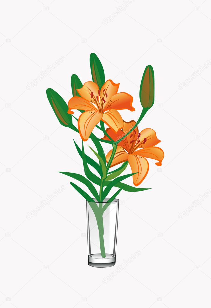 Tiger lily in a glass — Stock Vector © Mahita 3568364