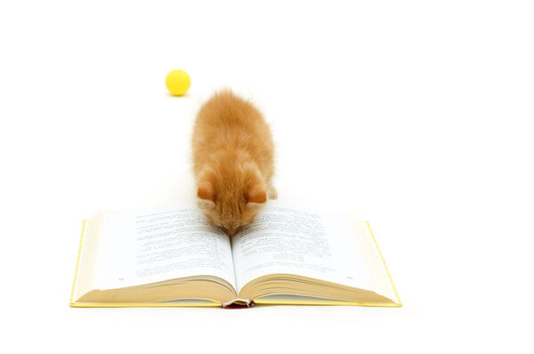 Not to play but to learn