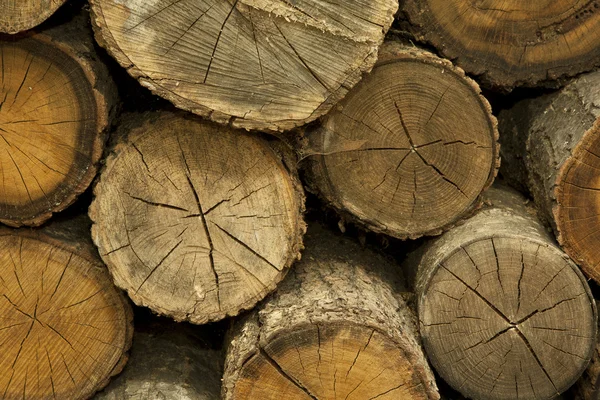 stock image Piles of Firewood background