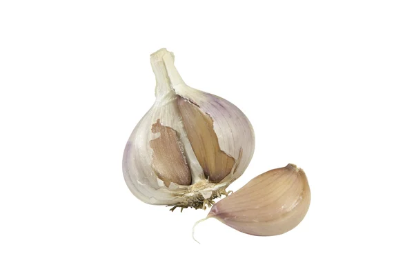 stock image Garlic isolated on white