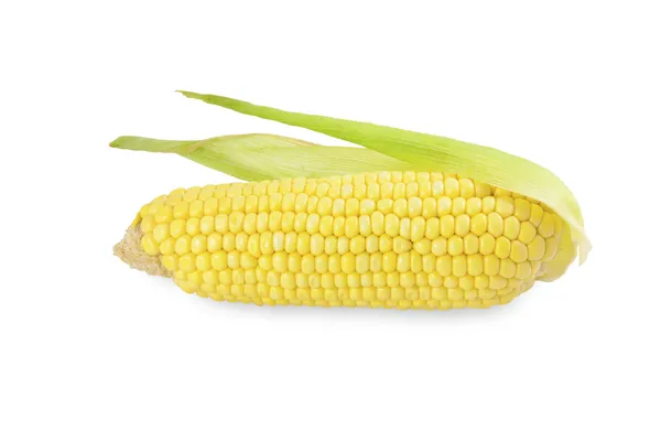 stock image Fresh corn on the cob isolated on white
