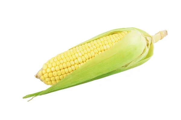 Fresh vegetable corn on the cob isolated on white — Stock Photo, Image