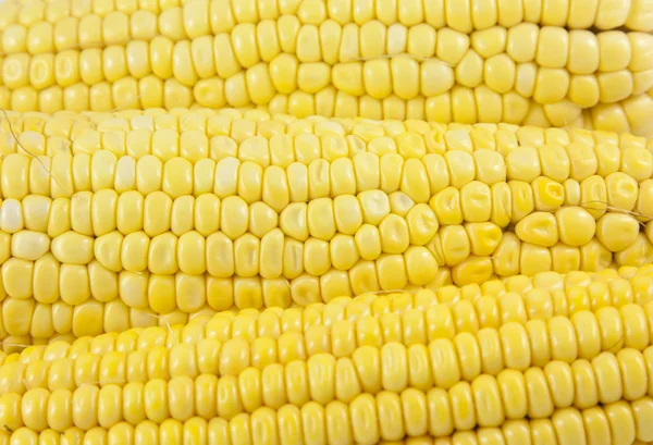 stock image Fresh Corn Background