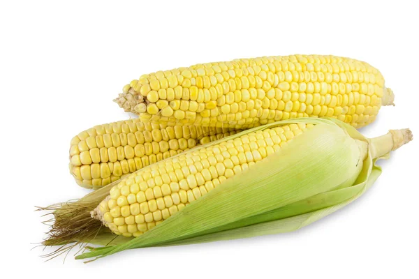 Fresh corn isolated on white — Stock Photo, Image