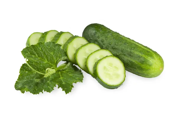 Salatalık üzerinde beyaz izole yeşil filizi ile — Stok fotoğraf