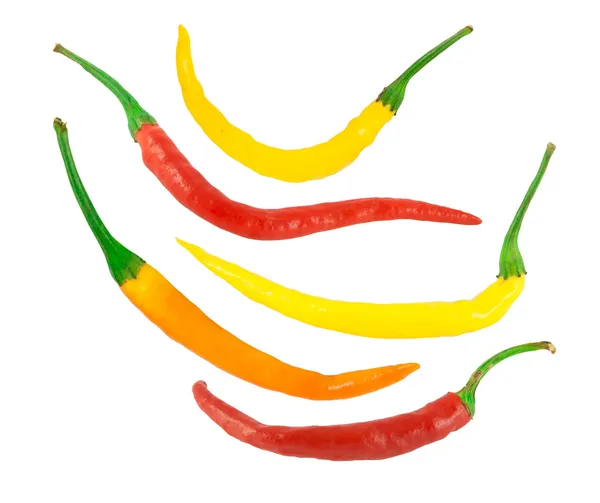 Pimentas de pimenta colorida isoladas em branco — Fotografia de Stock
