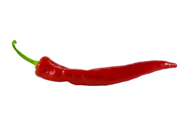 Červená chilli paprika izolované na bílém — Stock fotografie