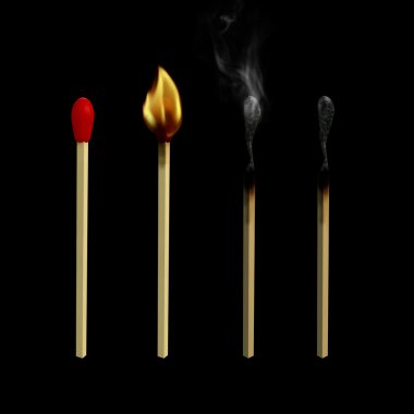 Matchstick Lifecycle clipart