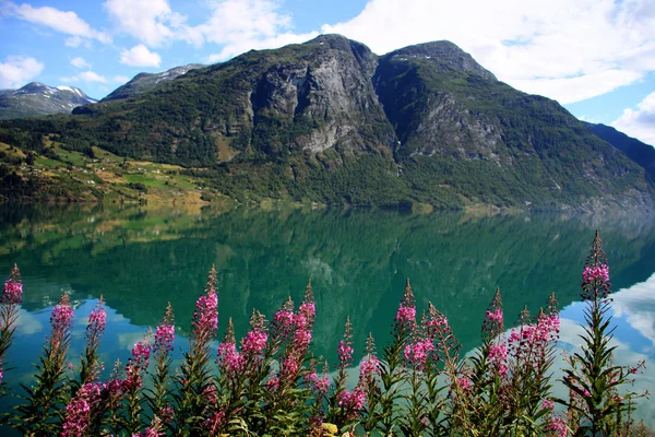 stock image Norway. Beautiful reflection in the lake