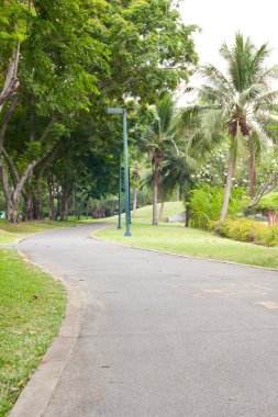 eğri Kaldırıma park