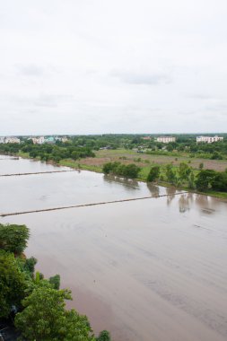 alan pirinç içinde su