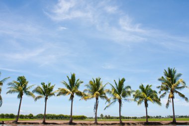 Tree line in the field clipart