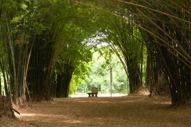 tezgah ve bambu