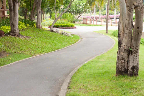Кривой тротуар в парке — стоковое фото