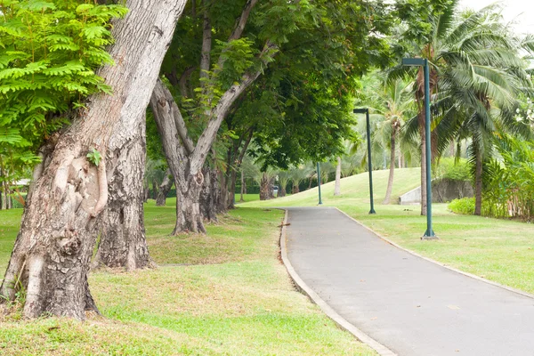 Kromme trottoir in het park — Stockfoto