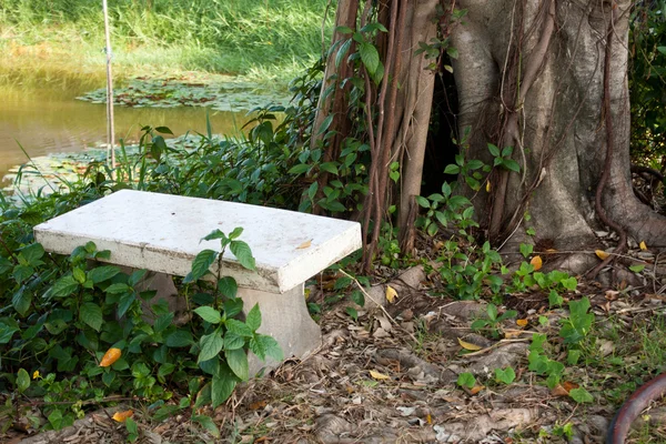 Bench under tree — Stock Photo, Image