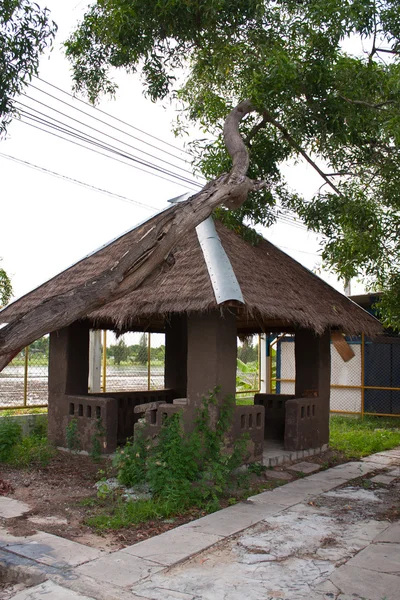 오두막 및 나무 — 스톡 사진