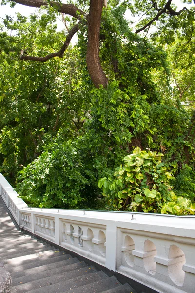 stock image Ladder in the outdoor