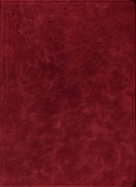 Cuero rojo Imagen de archivo