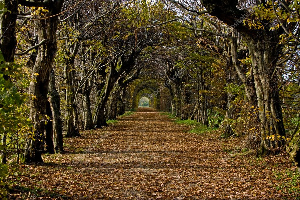 Herbststimmung Stock Photo C Leuchty