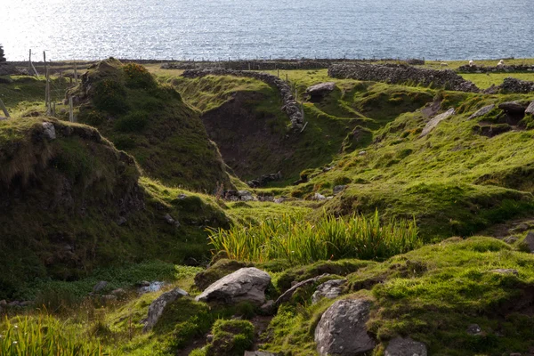 Irische Landschaft — Stock fotografie