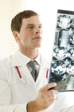 Male Doctor Examining a CAT scan clipart