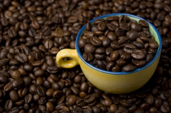 Tasse gefüllt mit Kaffeebohnen — Stockfoto