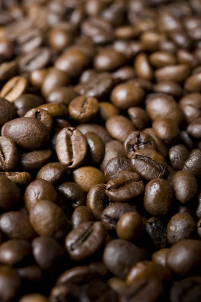 Fondo del grano de café — Foto de Stock