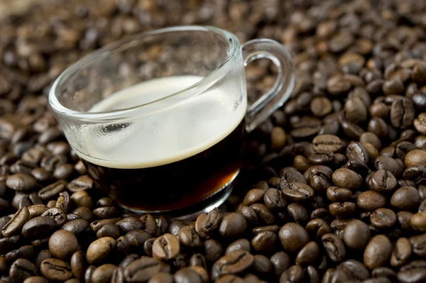 Tasse de café sur grains de café — Photo