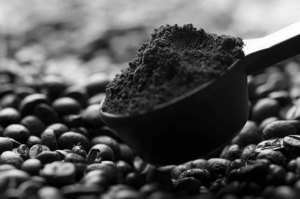 Coffee bean background, selective focus — Stock Photo, Image