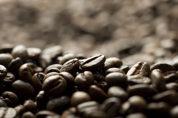 Fond de grain de café, foyer sélectif — Photo
