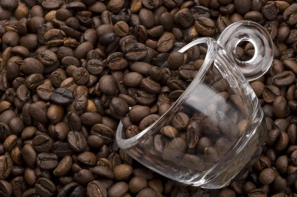 Coupe remplie de grains de café — Photo