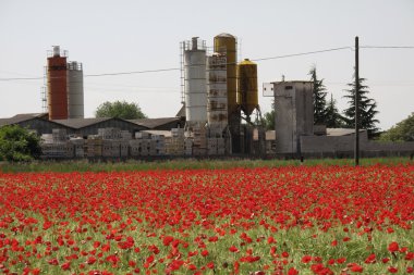 Endüstriyel Tesis karşı under haşhaş