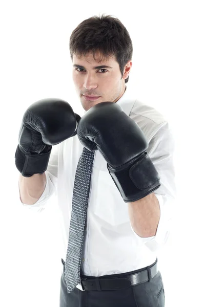 Боксерский бизнесмен — стоковое фото