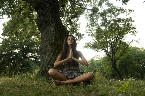 Mooie jonge vrouw mediteren in de natuur met handen sloot zich aan bij. — Stockfoto