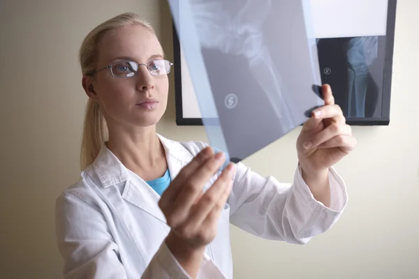 Doctor examining x-ray — Stock Photo, Image