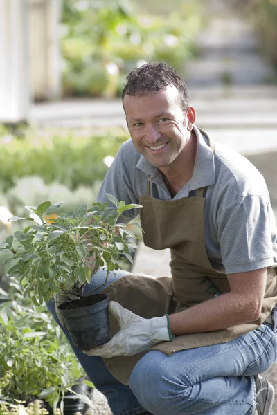 Jardinero sonriente —  Fotos de Stock