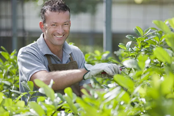 Jardinero sonriente — Foto de Stock