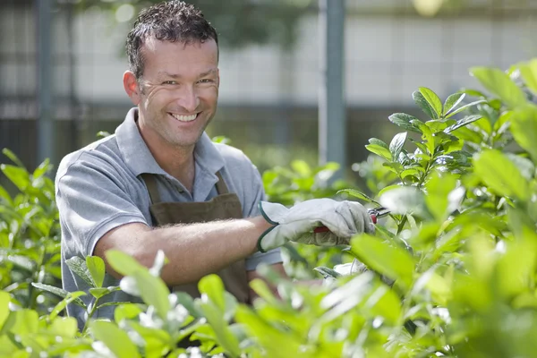 Jardinero sonriente — Foto de Stock