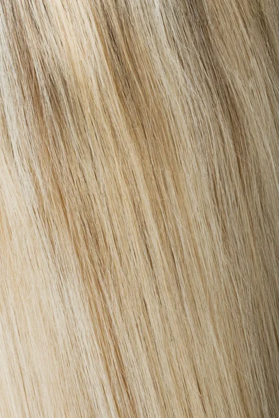 Bakifrån av blonda hår — Stockfoto