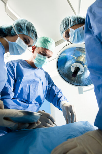 Portrait of team of surgeons at work