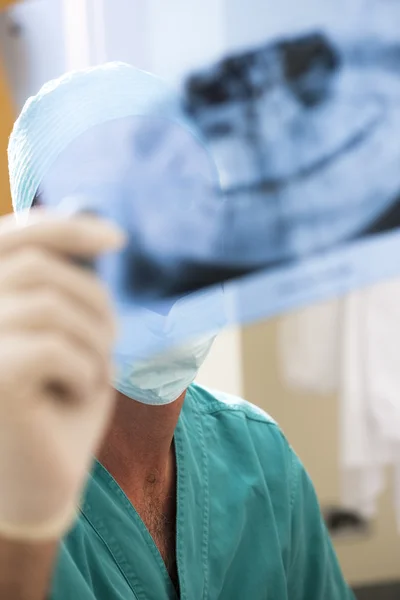 Close Dentista Que Examina Radiografia — Fotografia de Stock