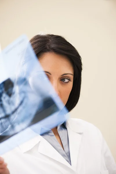Стоматолог, осматривающий рентгеновский снимок — стоковое фото