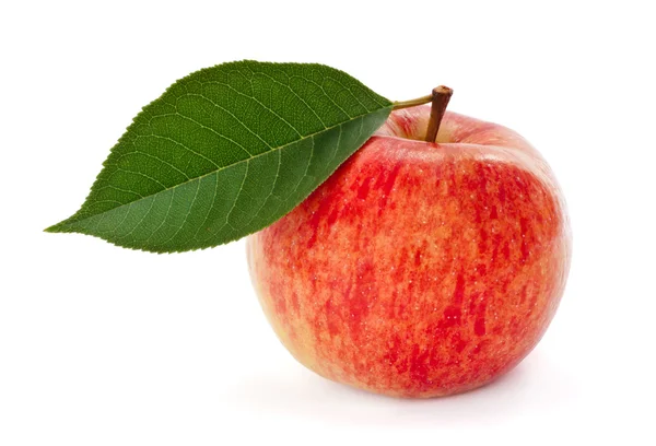 Manzana roja con hoja —  Fotos de Stock