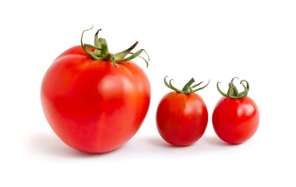 Dois tomates pequenos e um grande — Fotografia de Stock