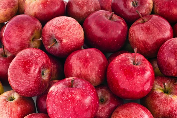Red Apples — Stock Photo, Image